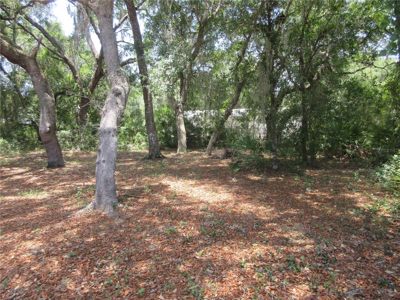 2562 SE 178TH AVE, SILVER SPRINGS, FL, 34488