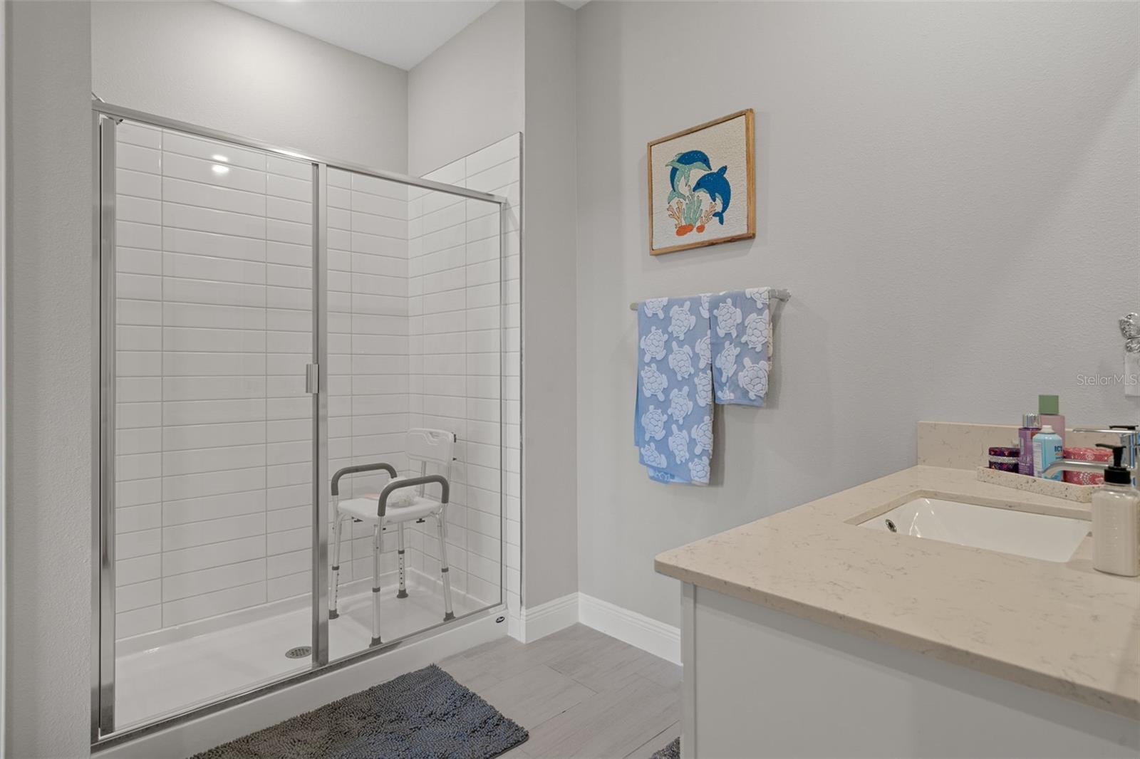 10093 CAMPANULA CT, LAND O LAKES, FL, 34637