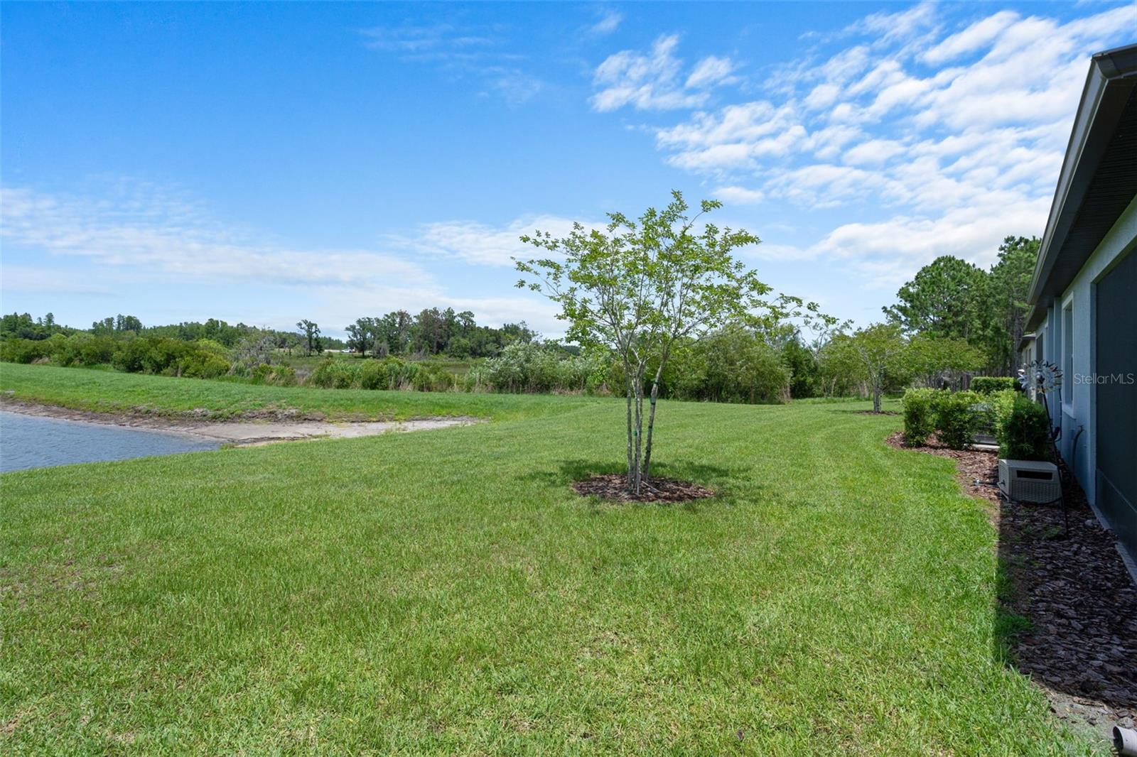 10093 CAMPANULA CT, LAND O LAKES, FL, 34637