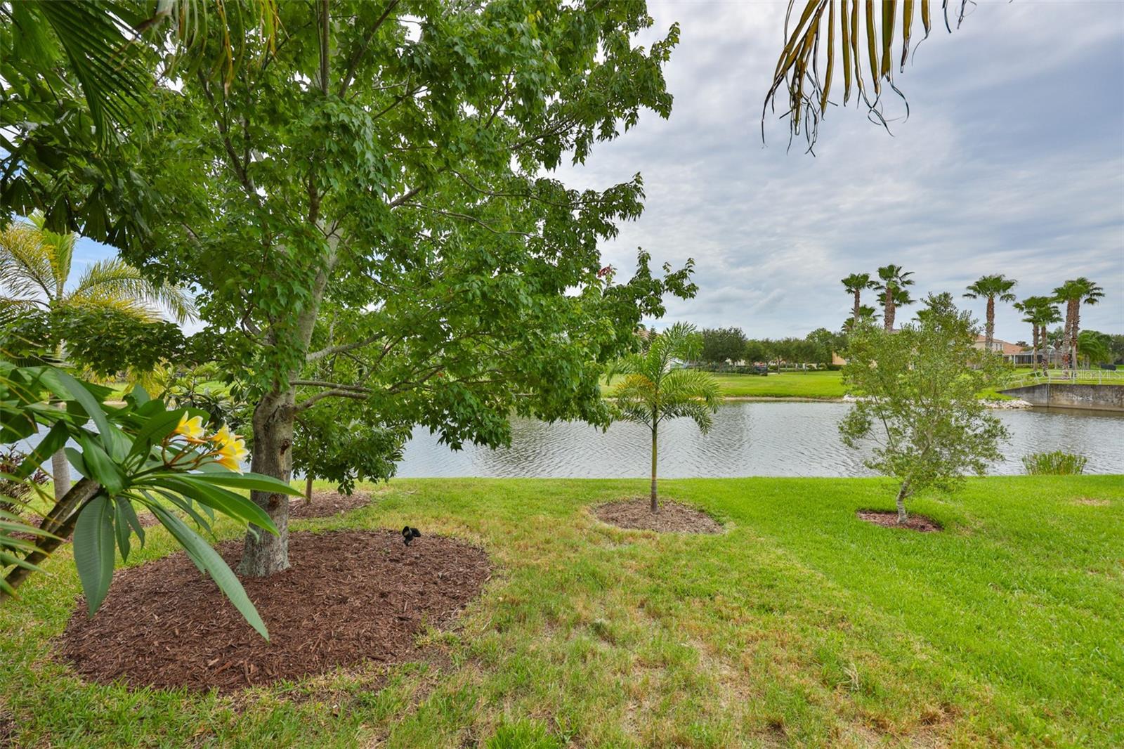 5305 MOON SHELL DR, APOLLO BEACH, FL, 33572