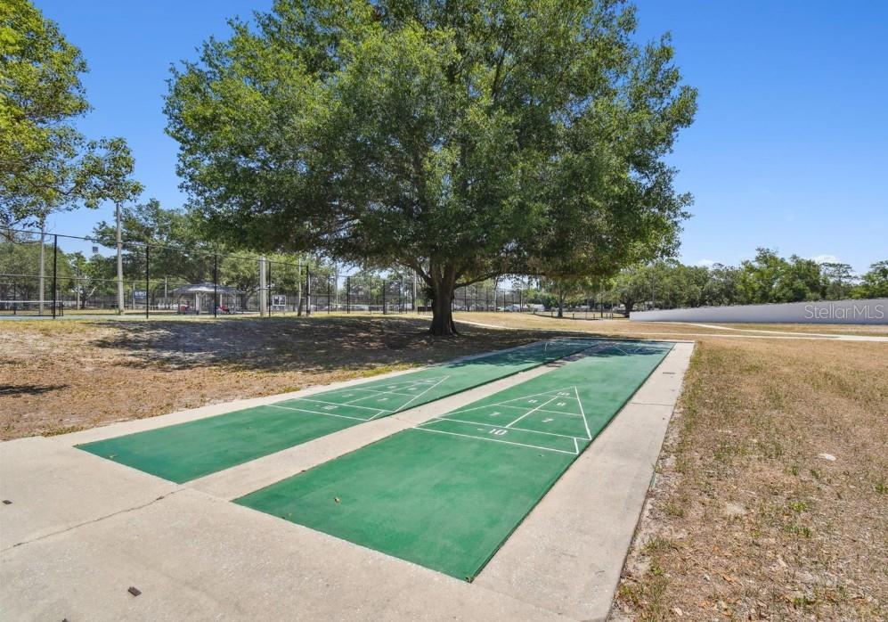 23223 CLUB VILLAS DR #23223, LAND O LAKES, FL, 34639