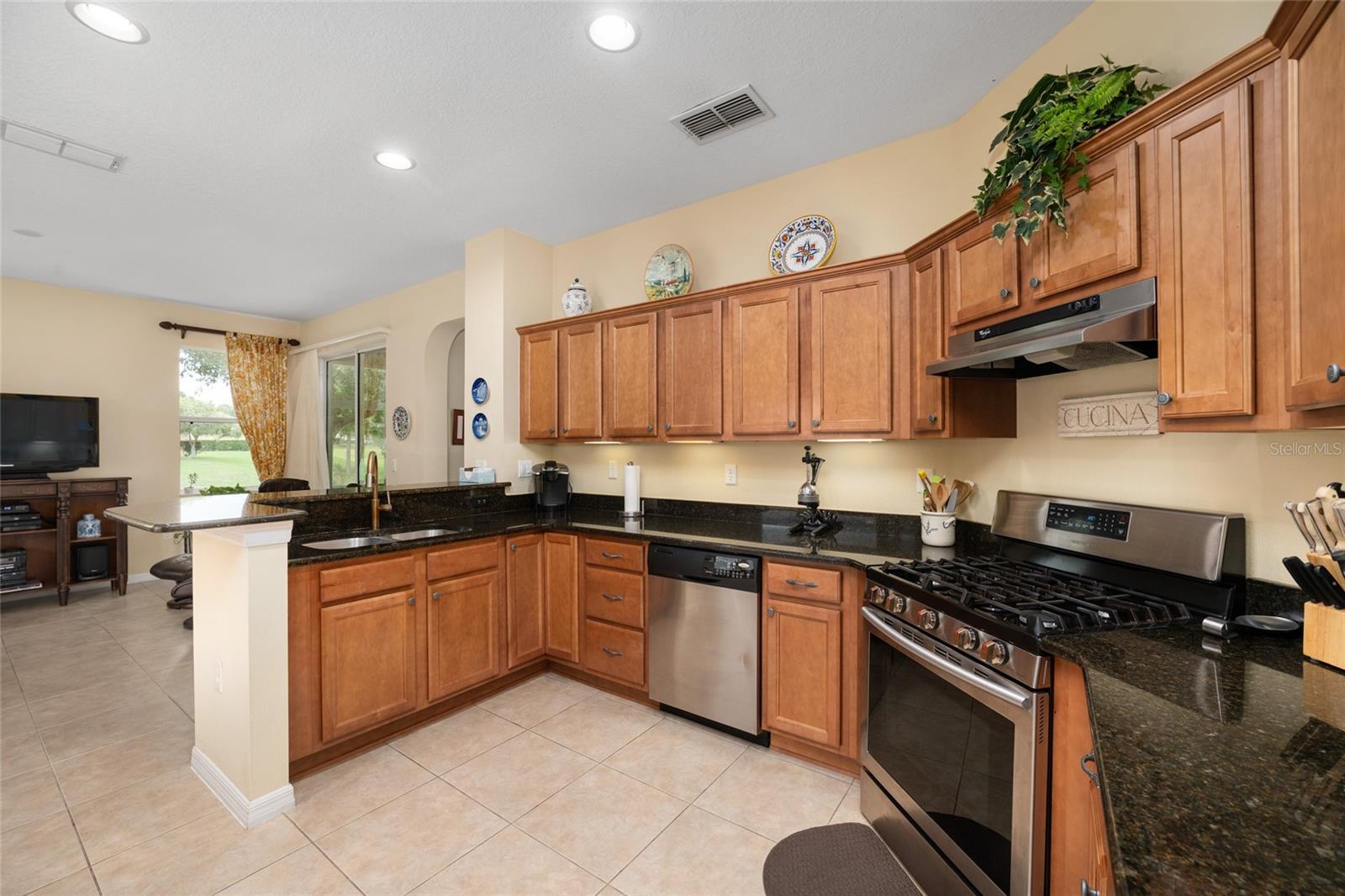 9274 SW 94TH LOOP, OCALA, FL, 34481