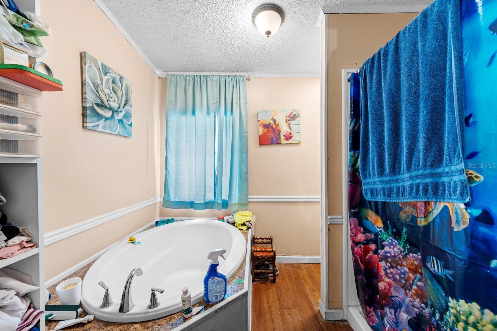 16143 PALACKY ST, BROOKSVILLE, FL, 34604