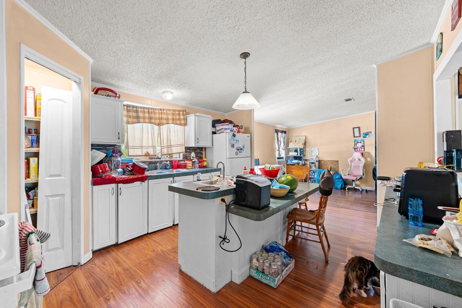 16143 PALACKY ST, BROOKSVILLE, FL, 34604