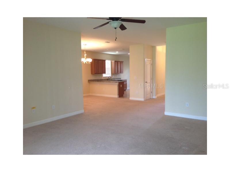 14010 HOLLOW LEAF PL, RIVERVIEW, FL, 33579
