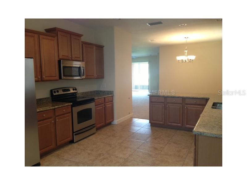 14010 HOLLOW LEAF PL, RIVERVIEW, FL, 33579