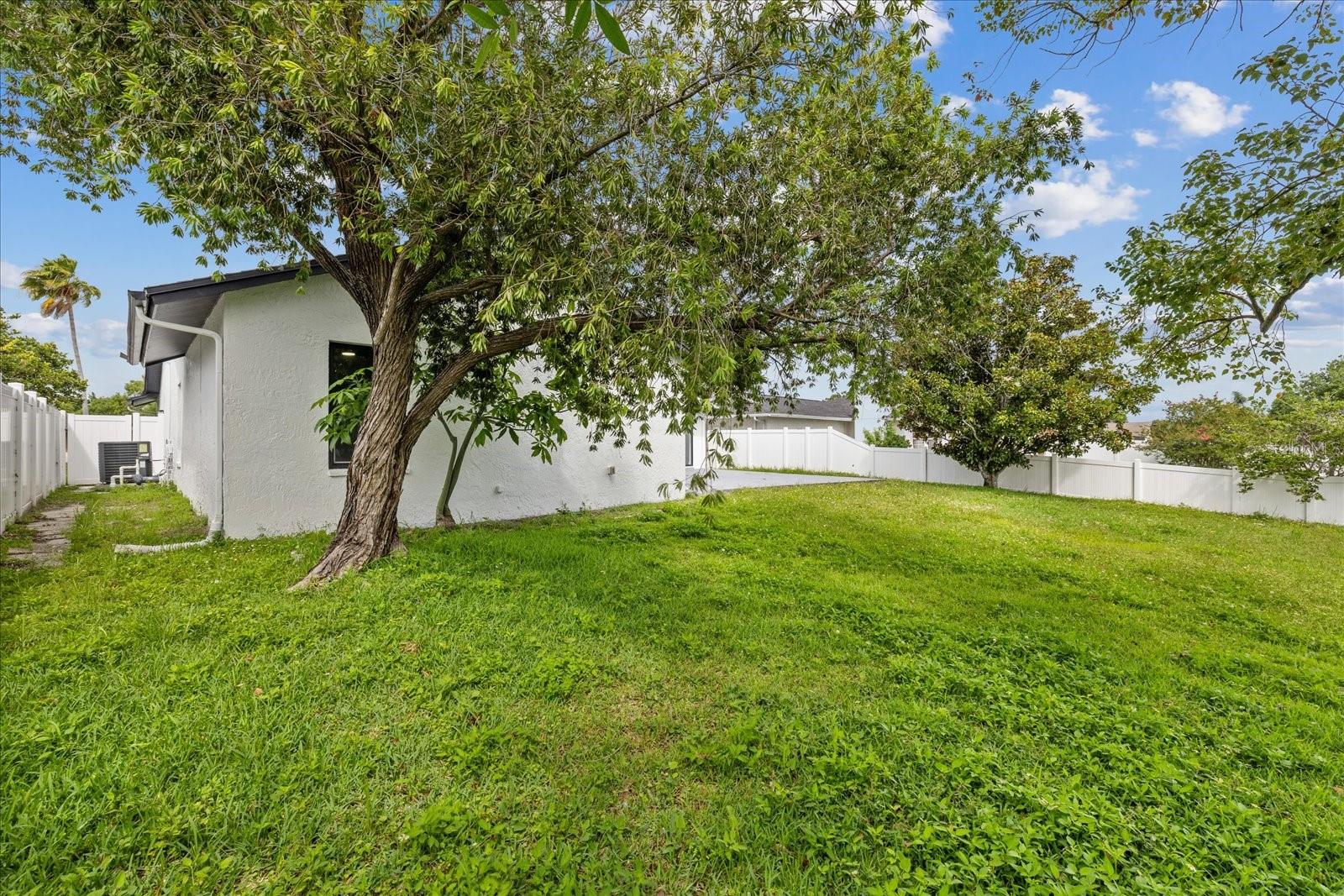 10609 OUT ISLAND DR, TAMPA, FL, 33615