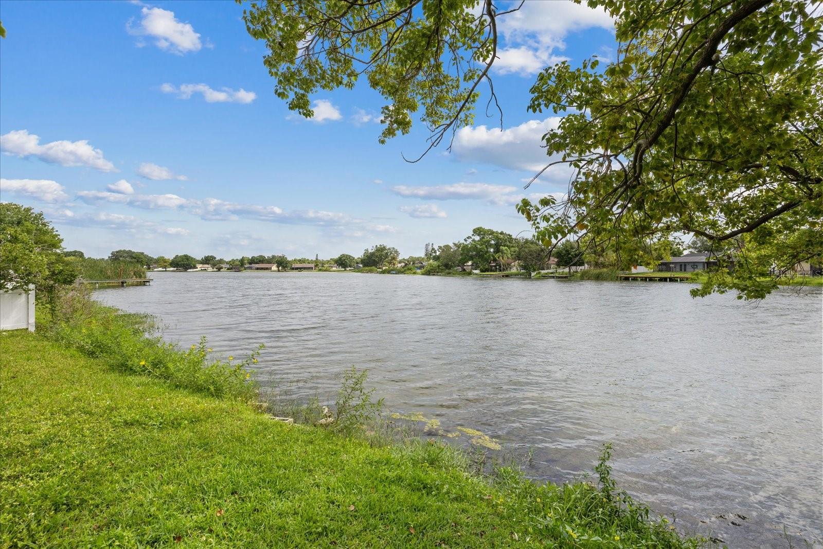 10609 OUT ISLAND DR, TAMPA, FL, 33615