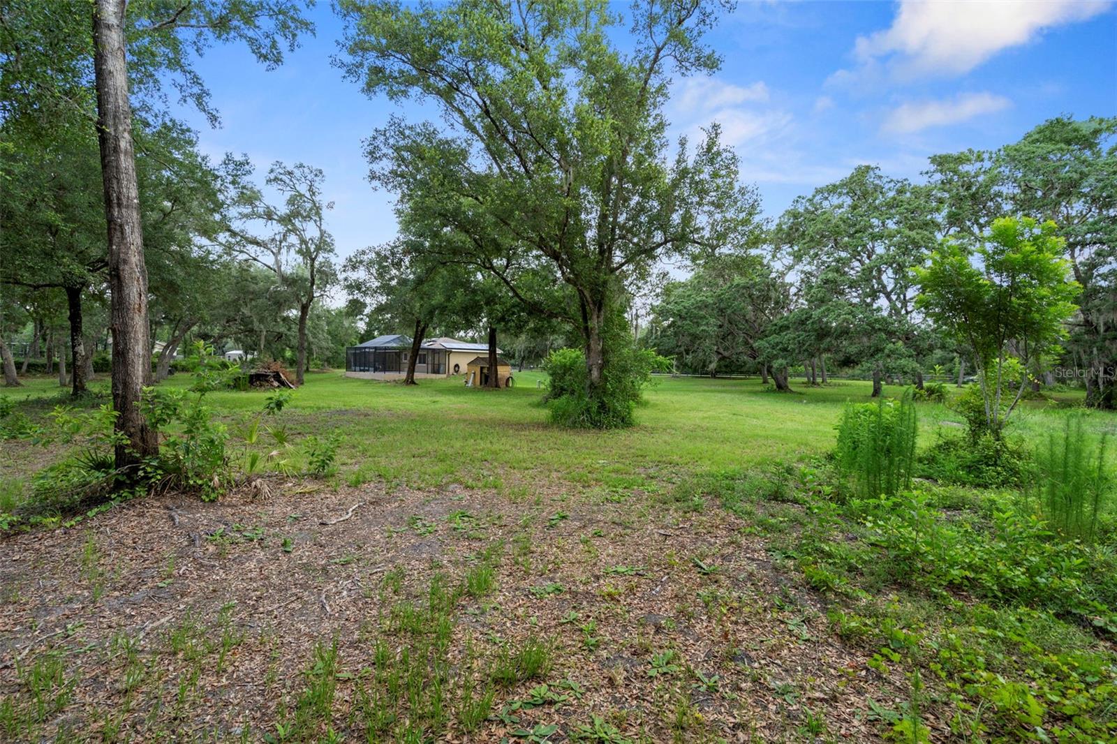 35362 RANCHETTE BLVD, WEBSTER, FL, 33597