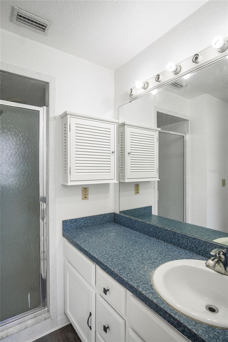 1177 LIZA ST, ST CLOUD, FL, 34771
