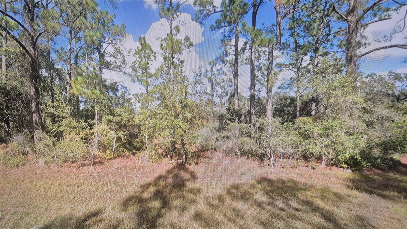 PLUMOSA DR, INDIAN LAKE ESTATES, FL, 33855