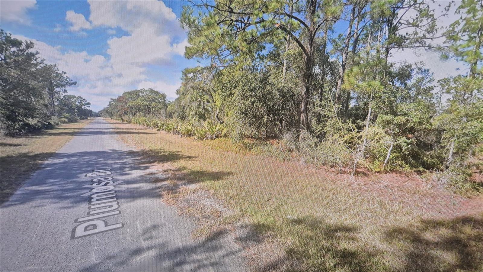 PLUMOSA DR, INDIAN LAKE ESTATES, FL, 33855