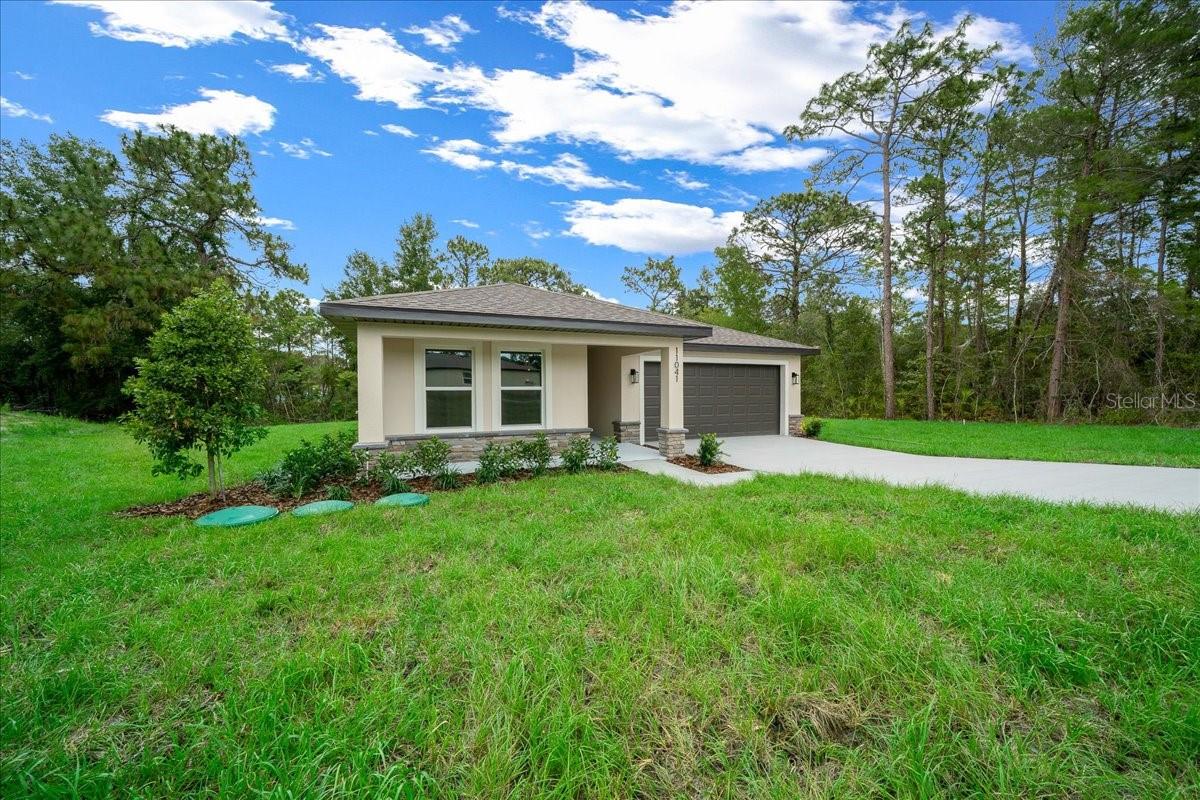 11041 SPOONBILL RD, WEEKI WACHEE, FL, 34613