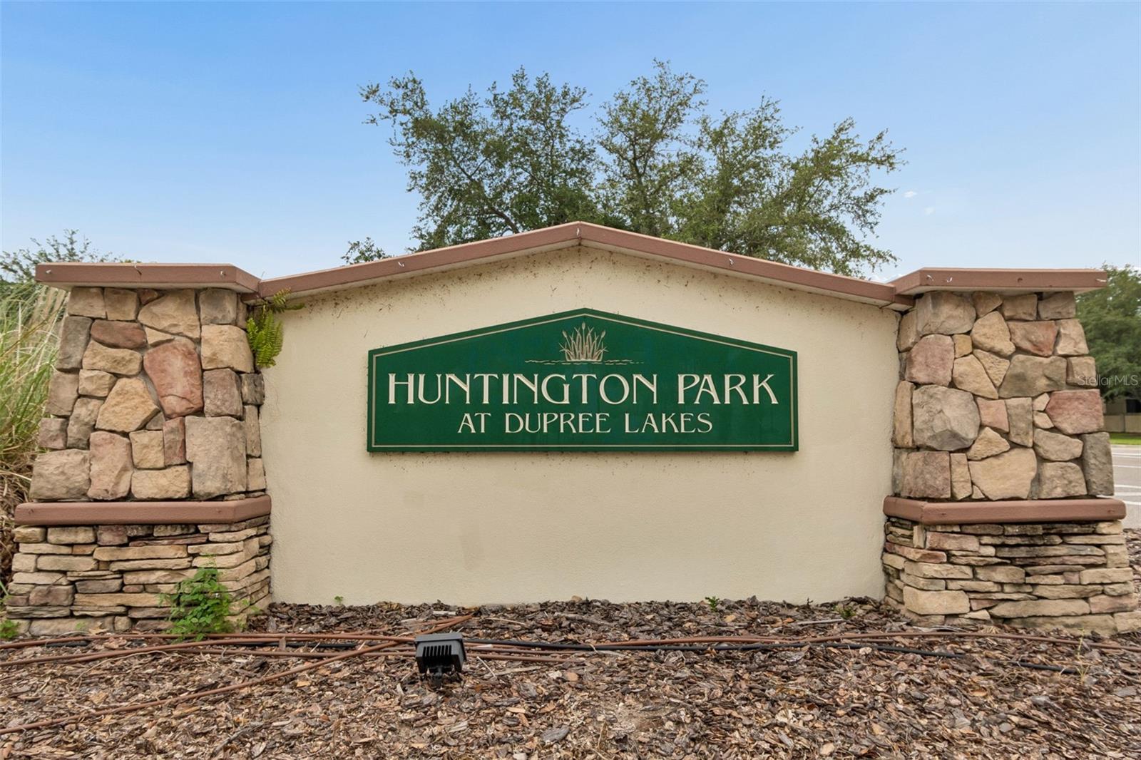 6050 BLUE SAGE DR, LAND O LAKES, FL, 34639