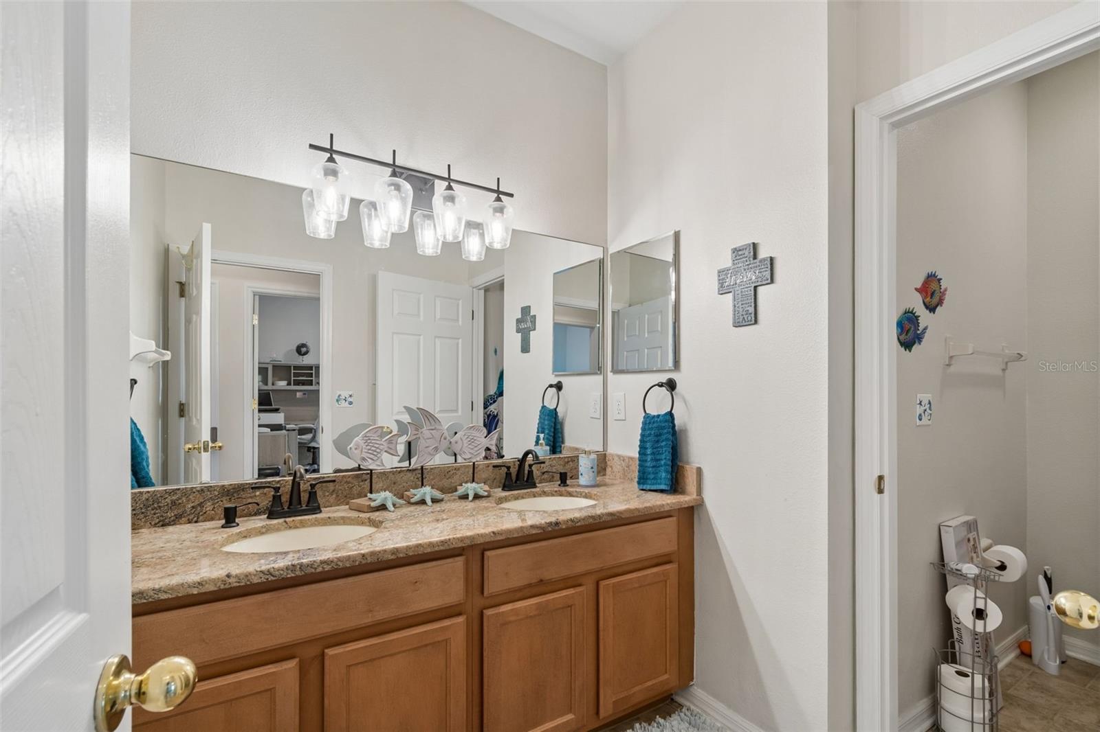 6050 BLUE SAGE DR, LAND O LAKES, FL, 34639