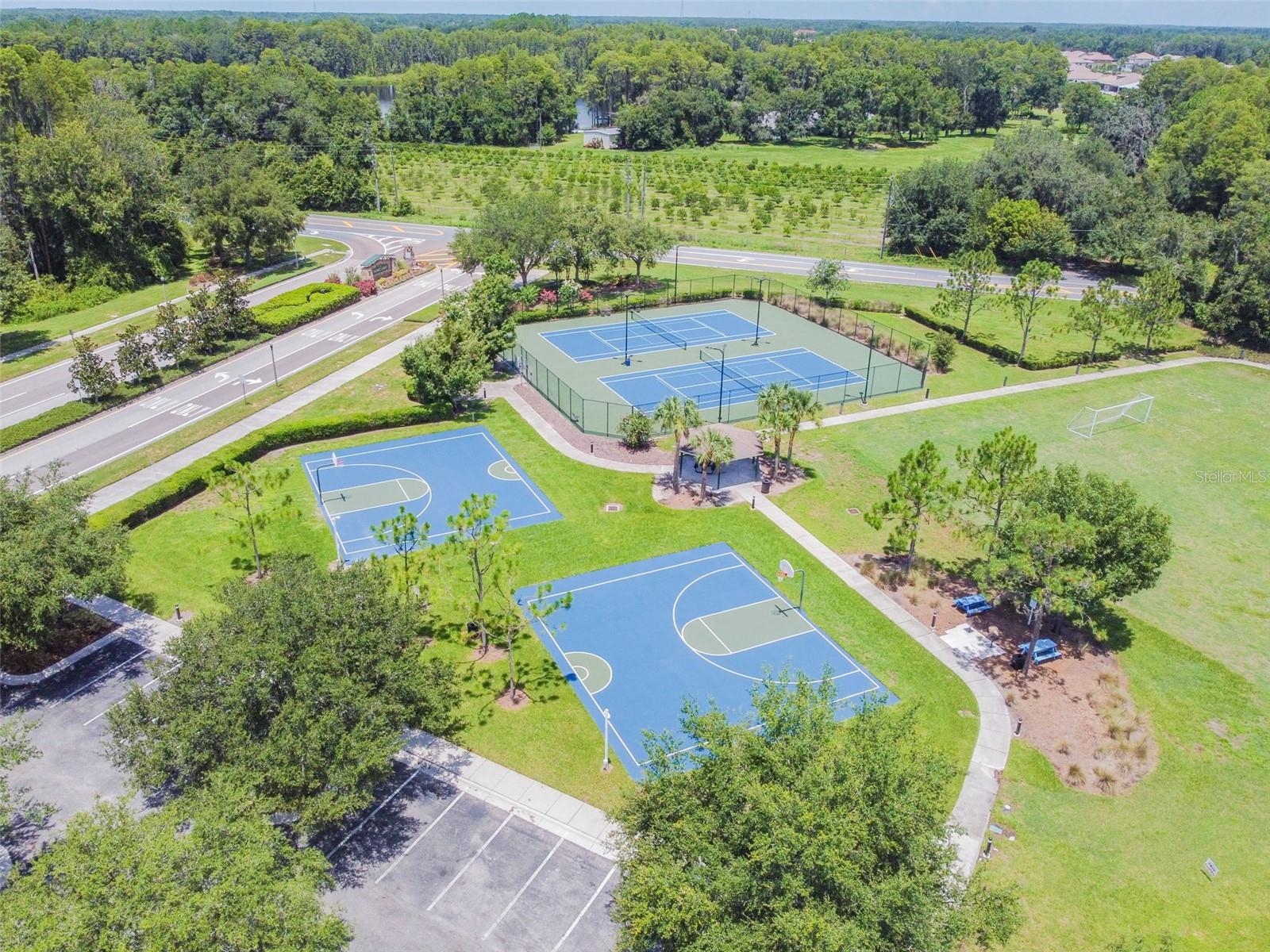 6050 BLUE SAGE DR, LAND O LAKES, FL, 34639