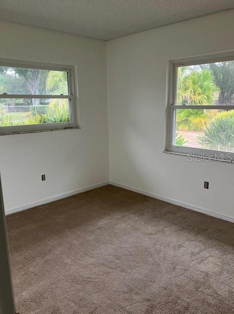 503 CHANCELLAR DR, LUTZ, FL, 33548