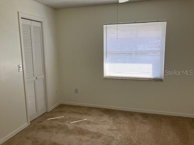 503 CHANCELLAR DR, LUTZ, FL, 33548