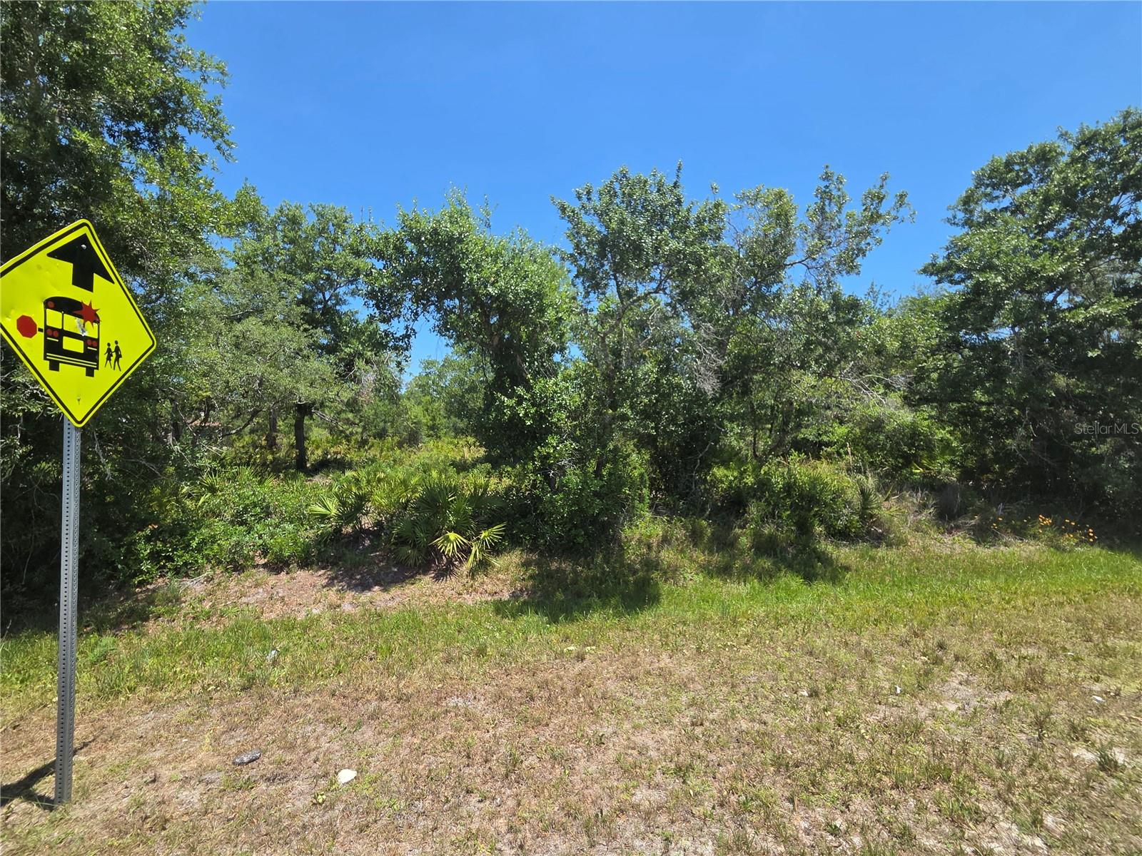 33410 WASHINGTON LOOP RD, PUNTA GORDA, FL, 33982