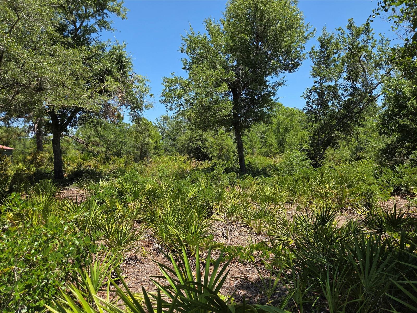 33410 WASHINGTON LOOP RD, PUNTA GORDA, FL, 33982