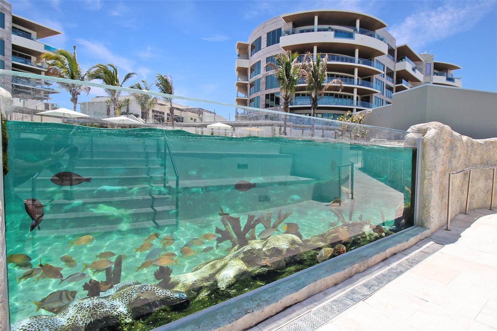 1591 GULF OF MEXICO DR #619, LONGBOAT KEY, FL, 34228