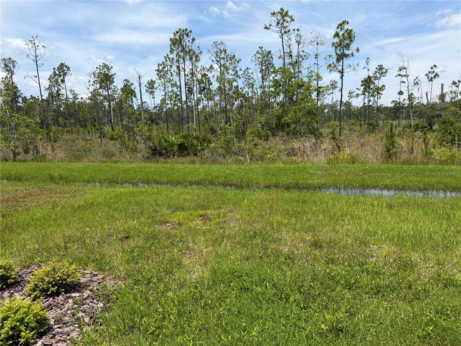 1139 BELLE ISLE LN, DAYTONA BEACH, FL, 32124
