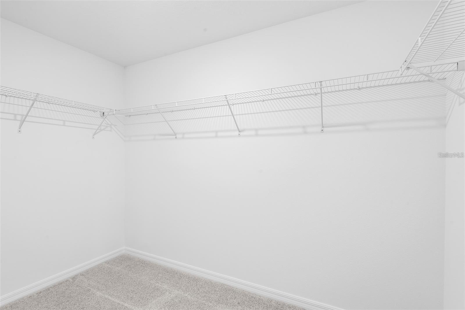 17514 NECTAR FLUME DR, LAND O LAKES, FL, 34638