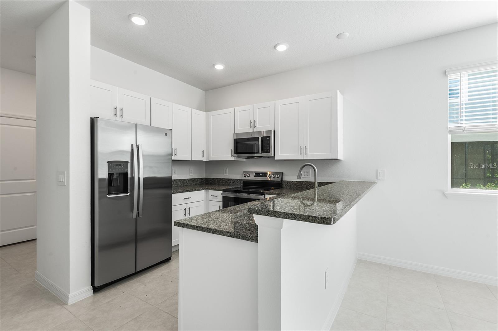 17514 NECTAR FLUME DR, LAND O LAKES, FL, 34638