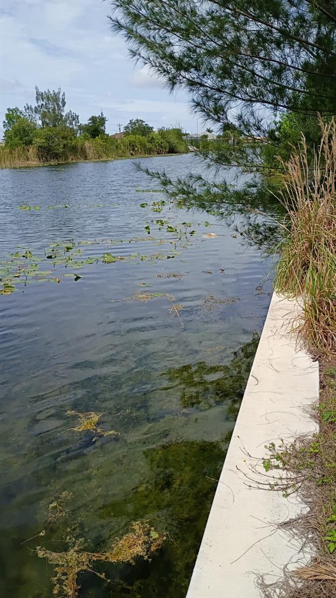2918 NW 14TH TER, CAPE CORAL, FL, 33993