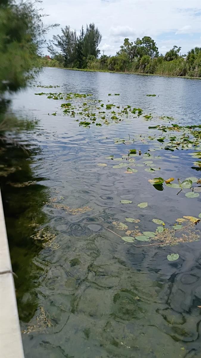 2918 NW 14TH TER, CAPE CORAL, FL, 33993