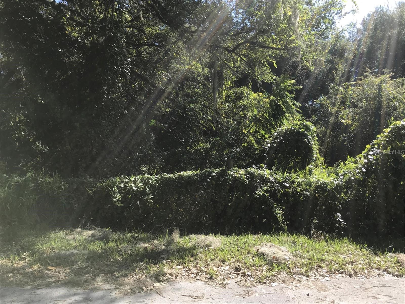 NW 2ND, WEBSTER, FL, 33597