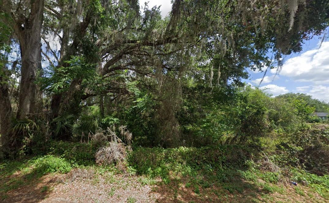 NW 2ND, WEBSTER, FL, 33597
