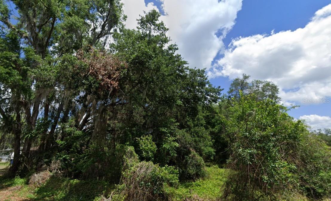 NW 2ND, WEBSTER, FL, 33597