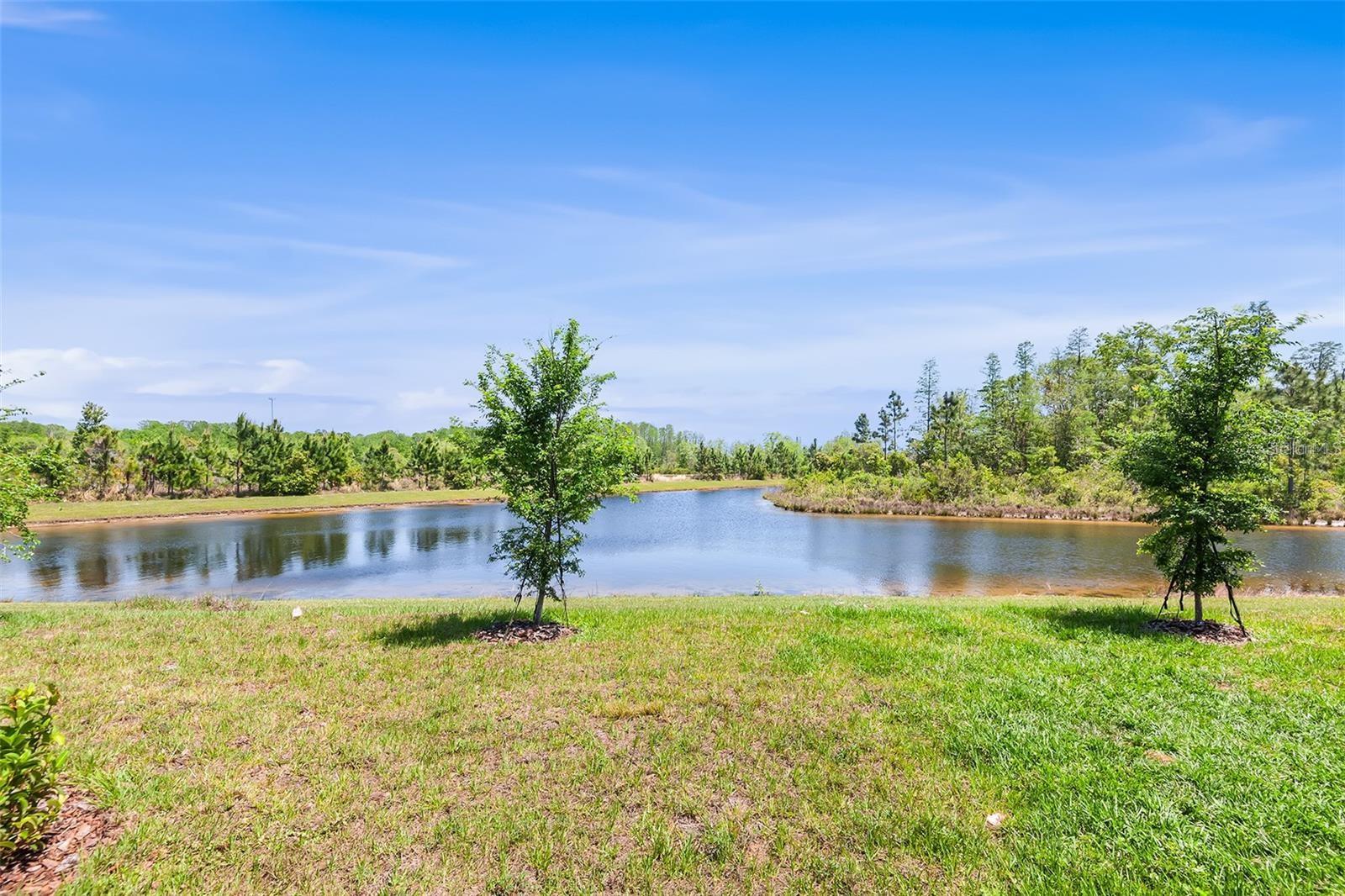11236 CRESCENT DEER DR, LAND O LAKES, FL, 34638