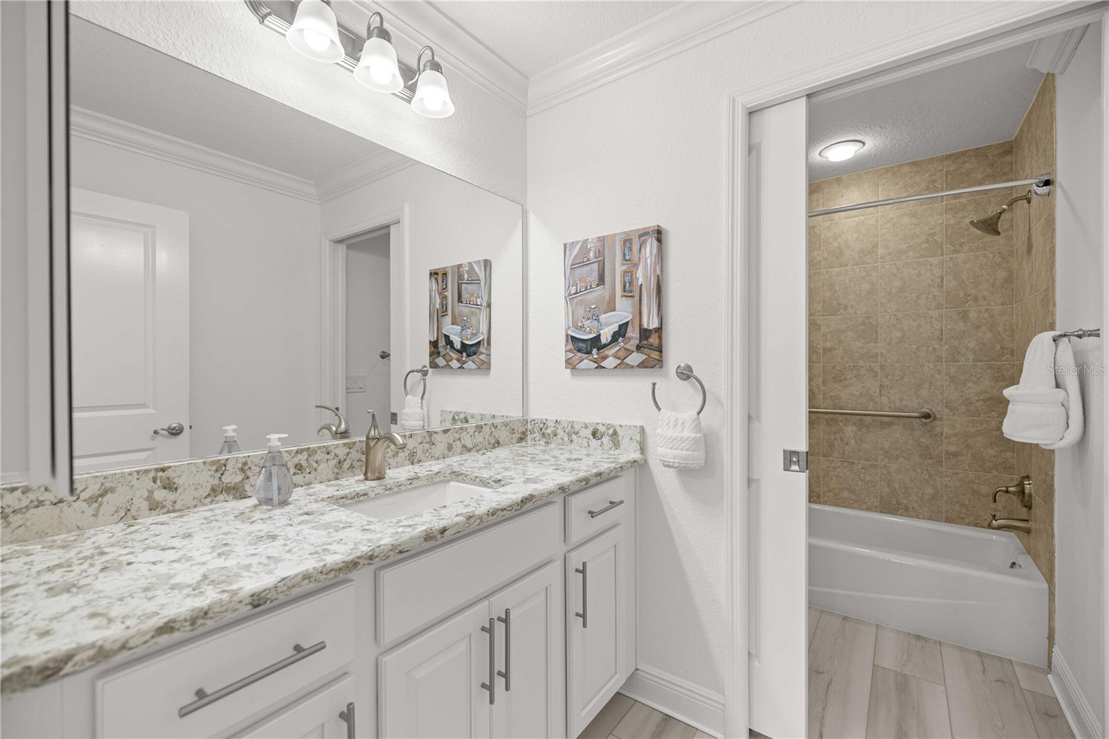 10367 ADDISON SHORE WAY, OXFORD, FL, 34484