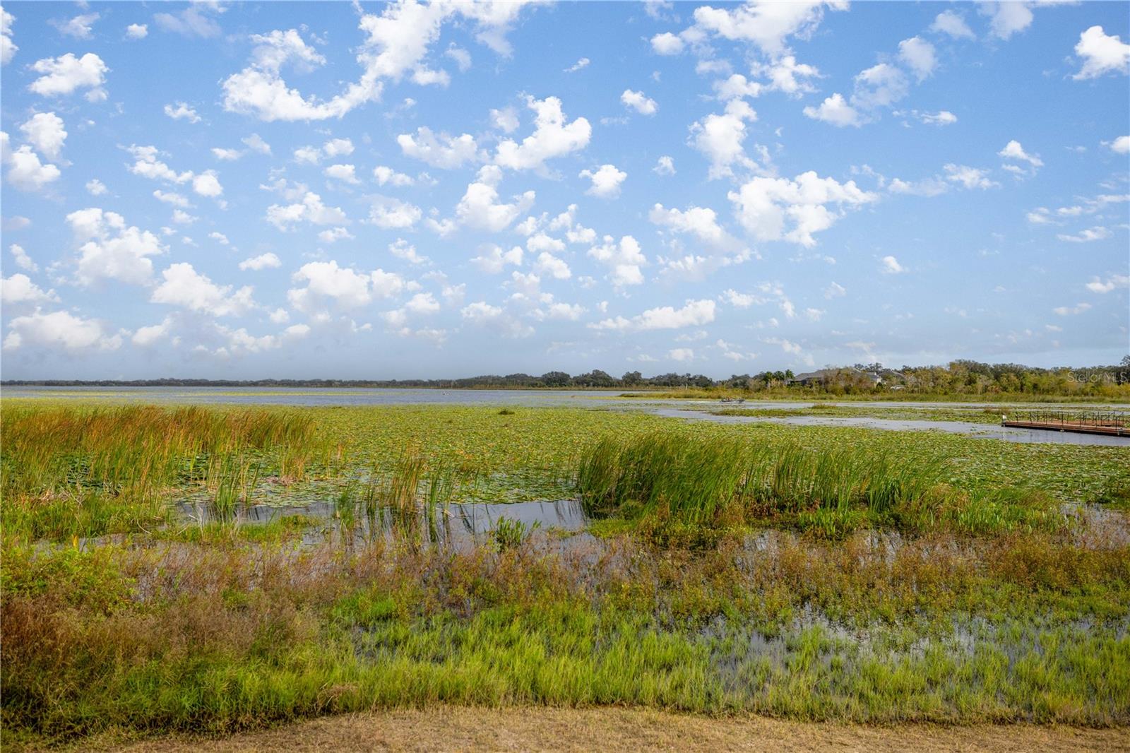 10367 ADDISON SHORE WAY, OXFORD, FL, 34484