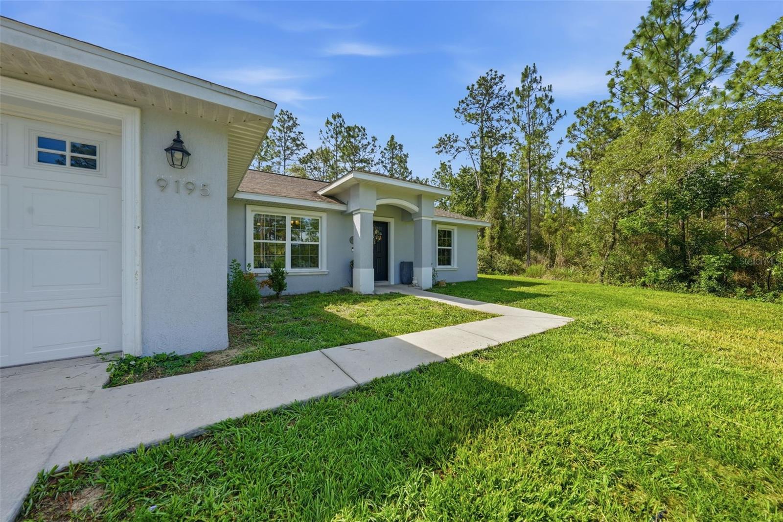 9195 N SAPONARIA DR, CITRUS SPRINGS, FL, 34433