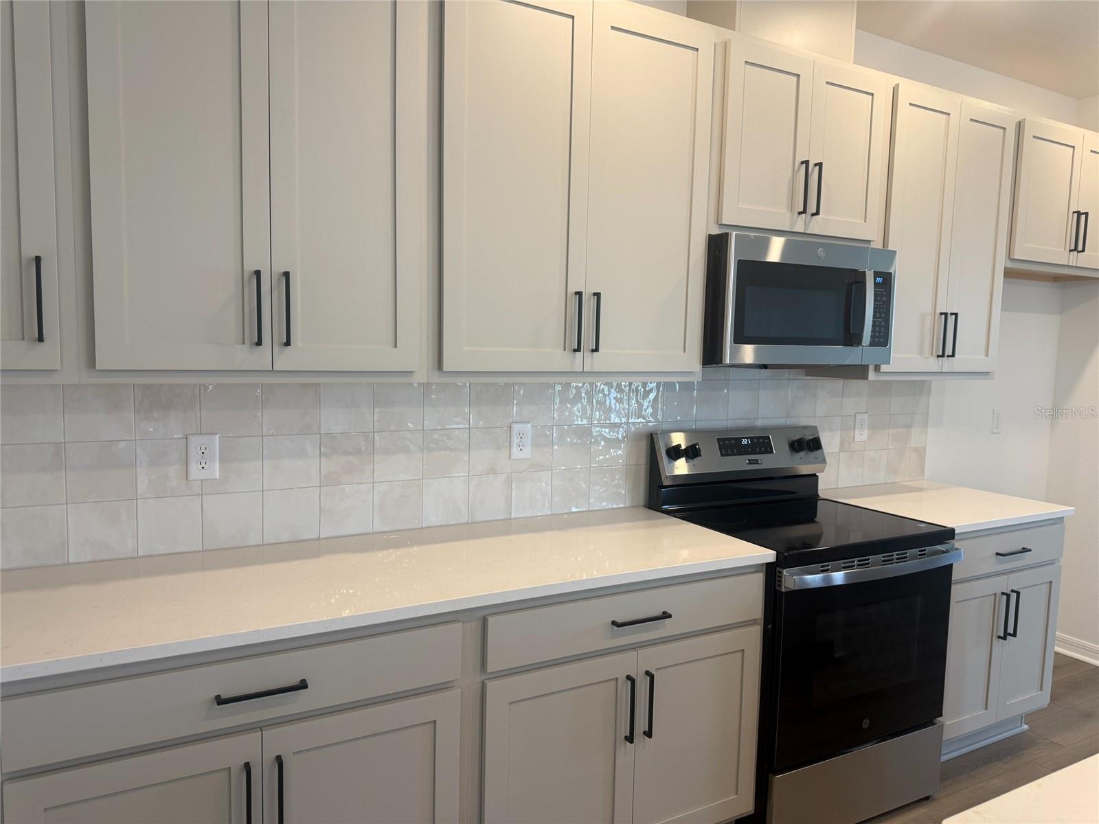 30157 MISTY PINES RD, MOUNT DORA, FL, 32757