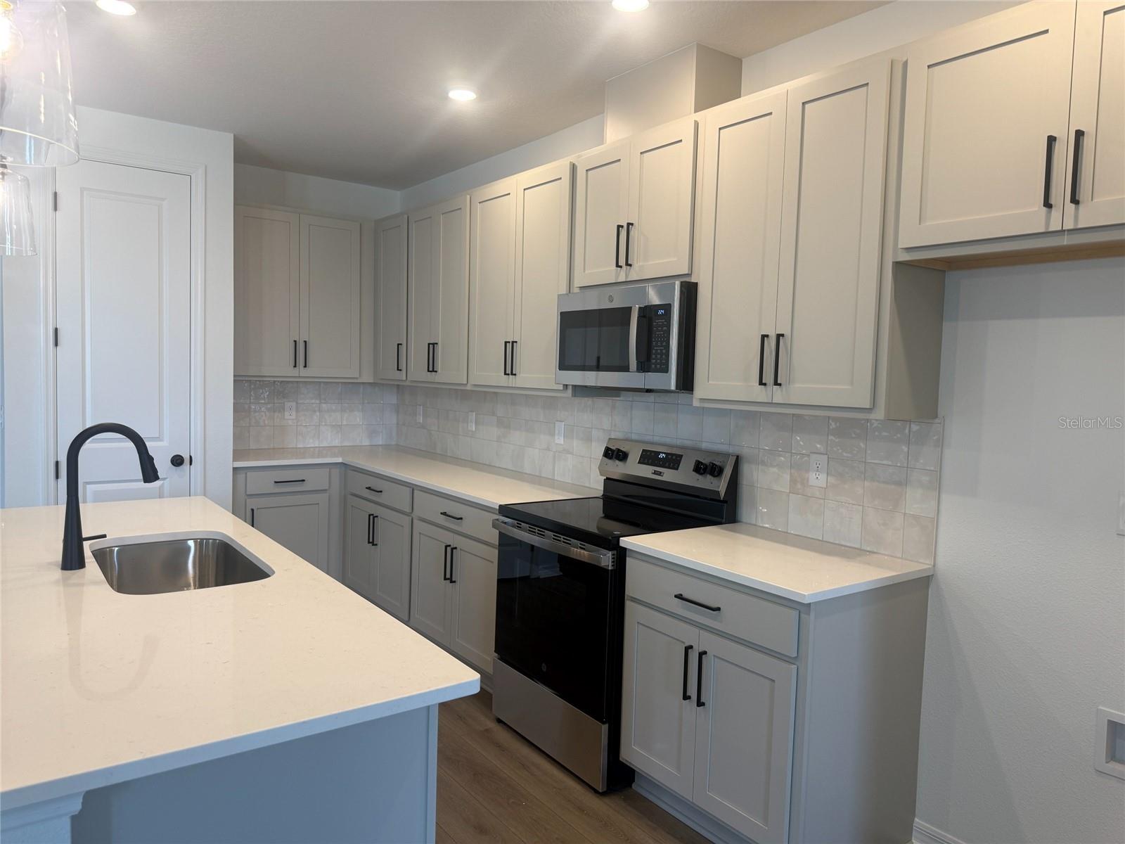 30157 MISTY PINES RD, MOUNT DORA, FL, 32757