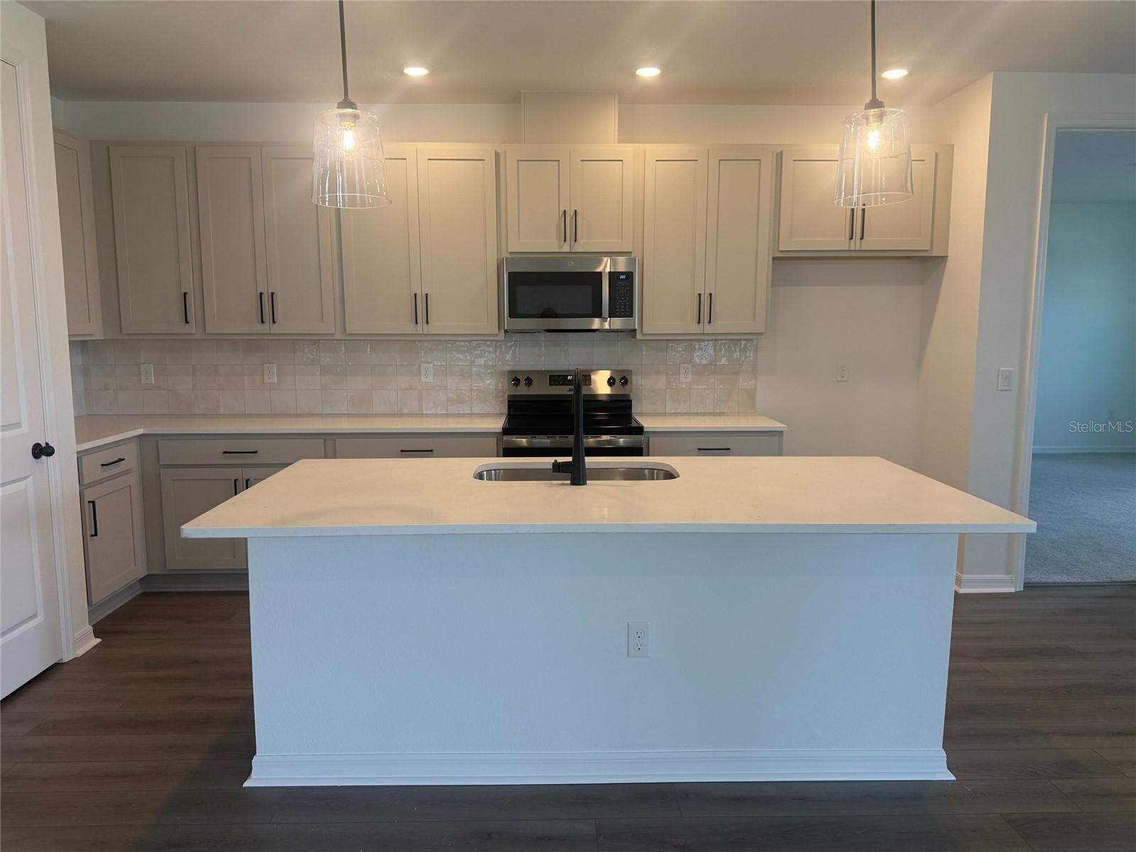 30157 MISTY PINES RD, MOUNT DORA, FL, 32757