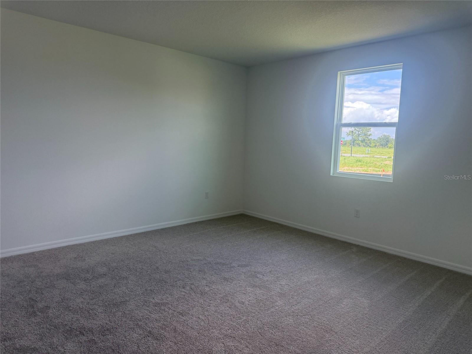 30157 MISTY PINES RD, MOUNT DORA, FL, 32757