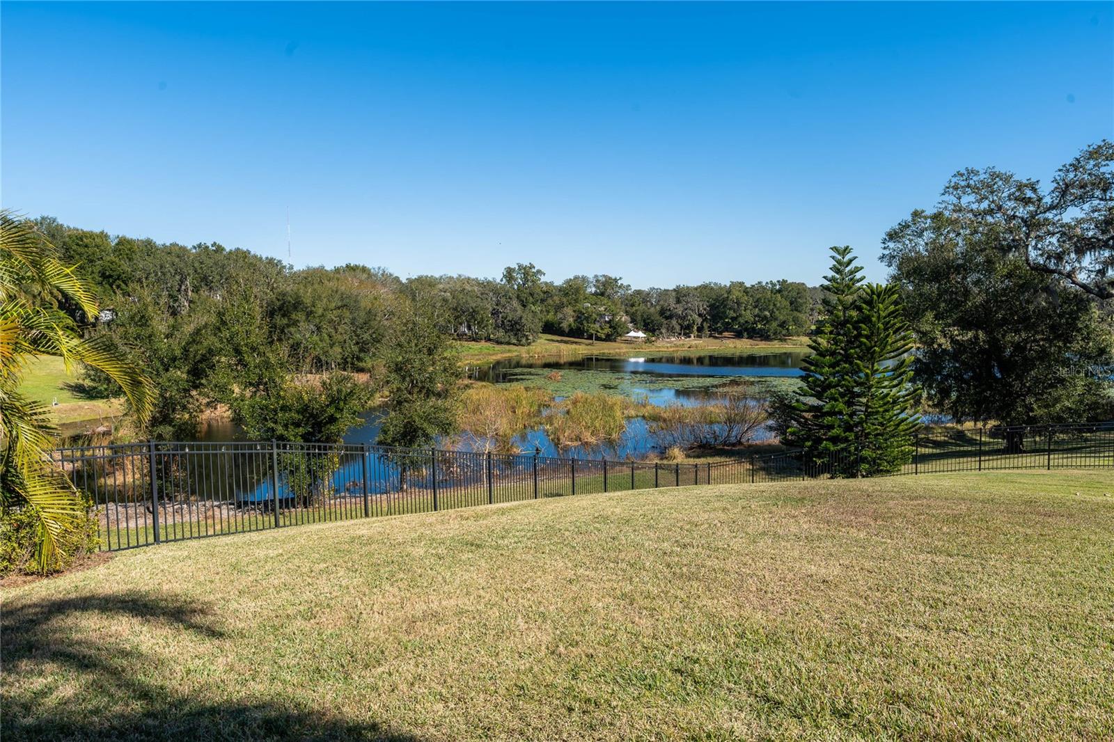 2041 LAKE FISCHER COVE LN, GOTHA, FL, 34734