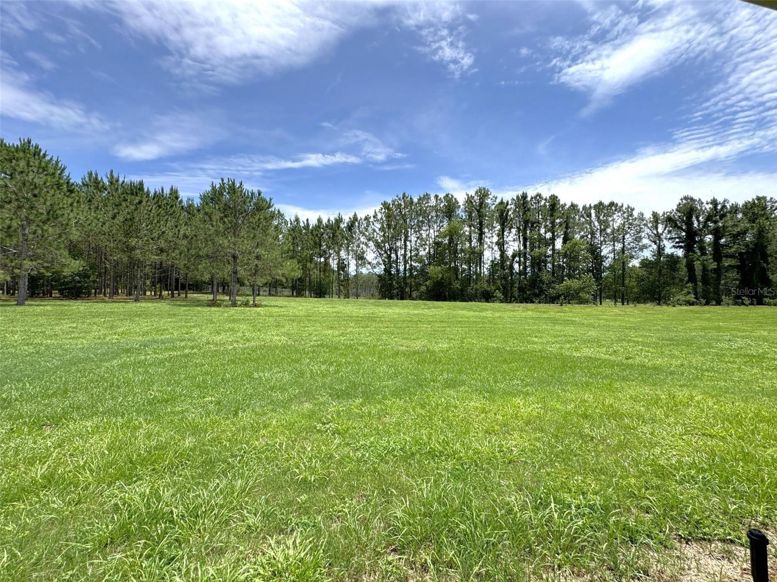 1724 E GATE DANCER CIR, INVERNESS, FL, 34453