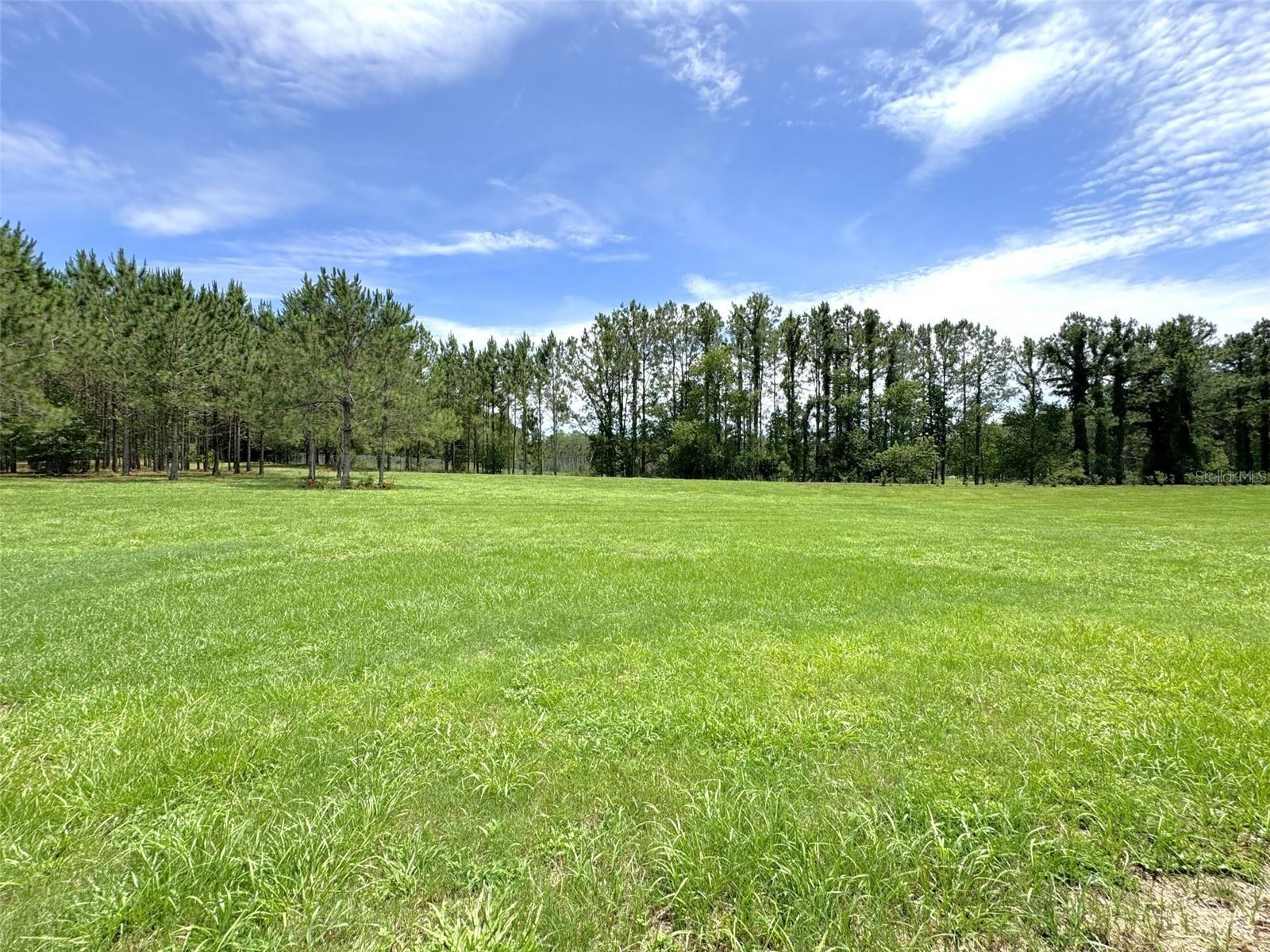 1724 E GATE DANCER CIR, INVERNESS, FL, 34453