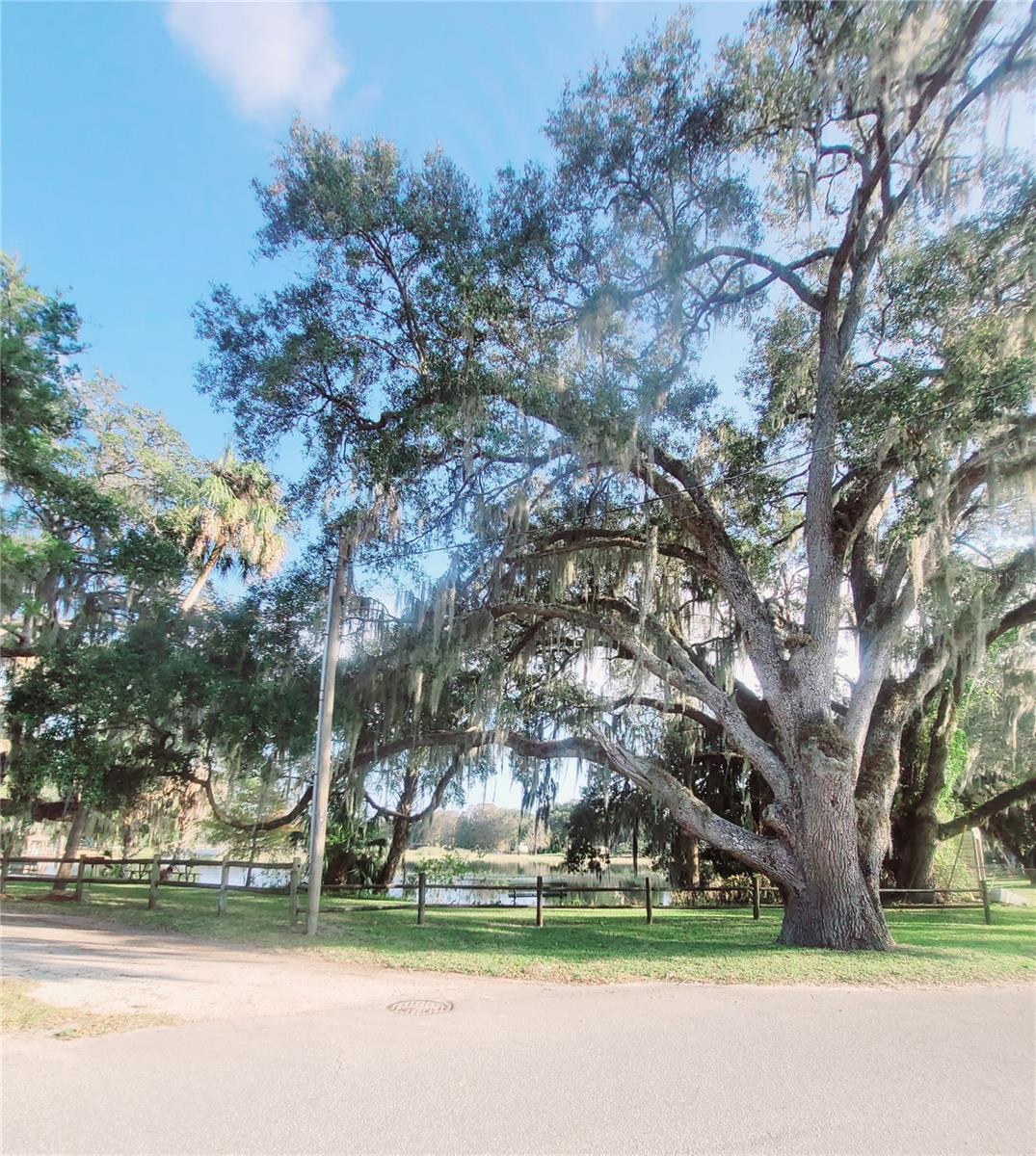 410 LANDING BLVD #1, INVERNESS, FL, 34450