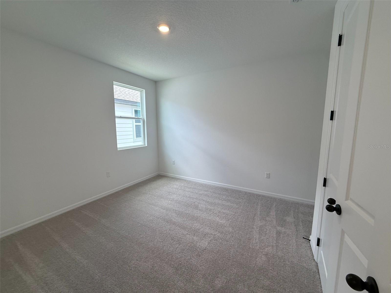 30153 MISTY PINES RD, MOUNT DORA, FL, 32757