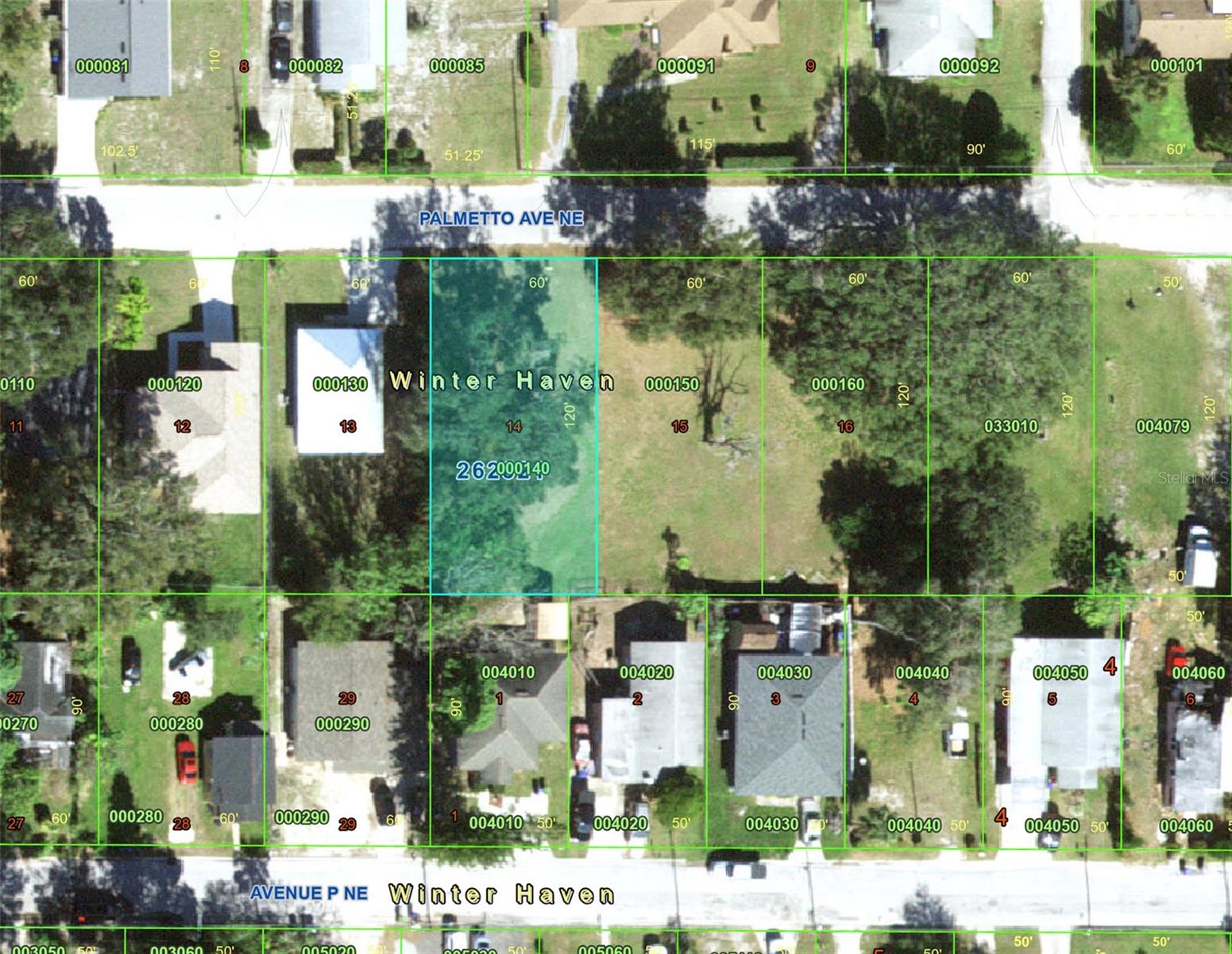 PALMETTO AVE NE, WINTER HAVEN, FL, 33881