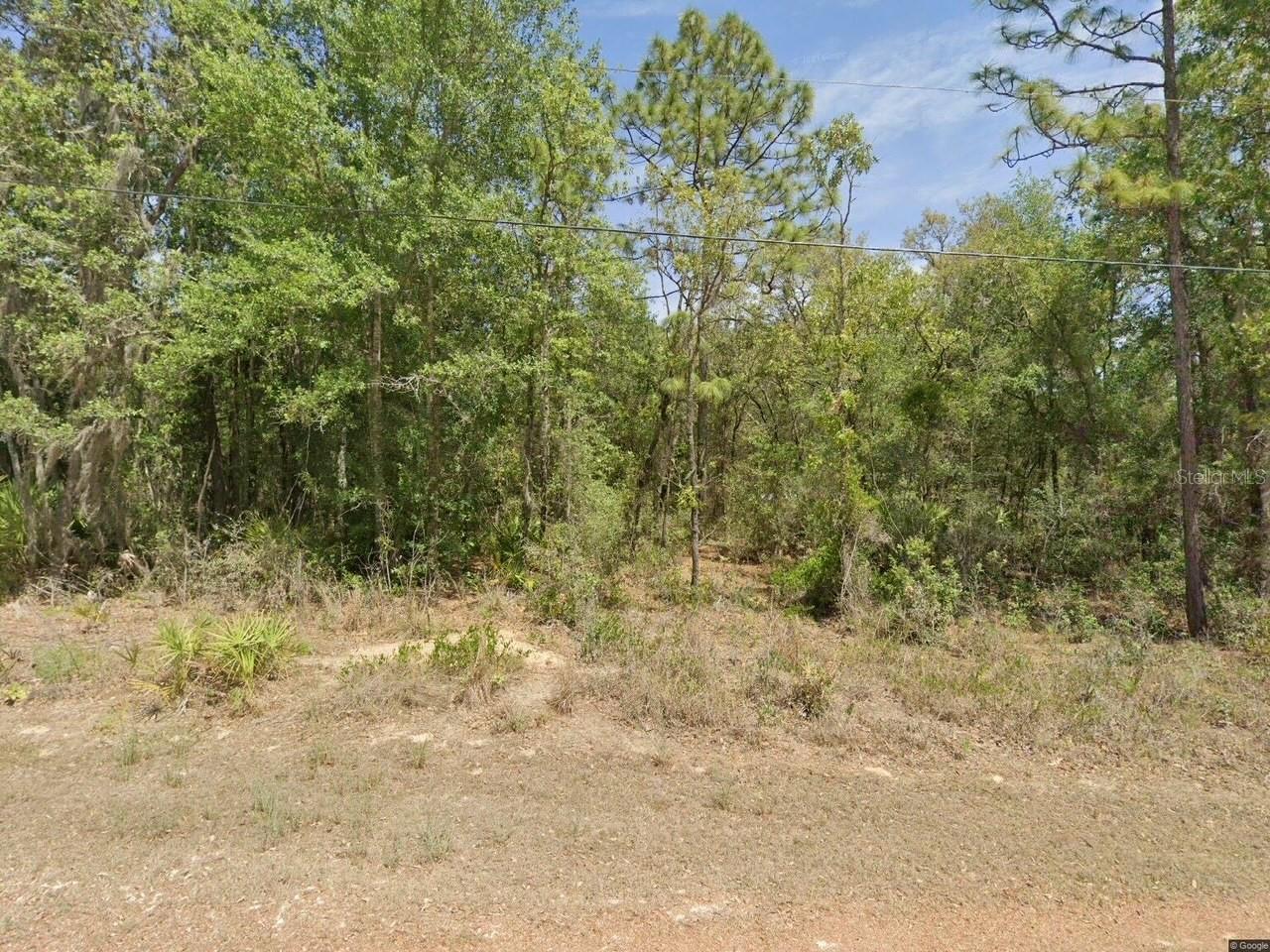 6575 W PERSHING DR, HOMOSASSA, FL, 34448