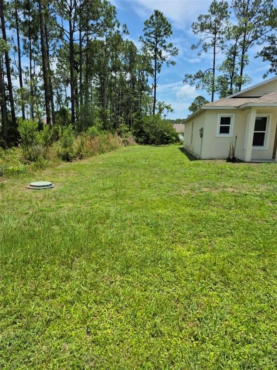 173 RYBERRY DR, PALM COAST, FL, 32164