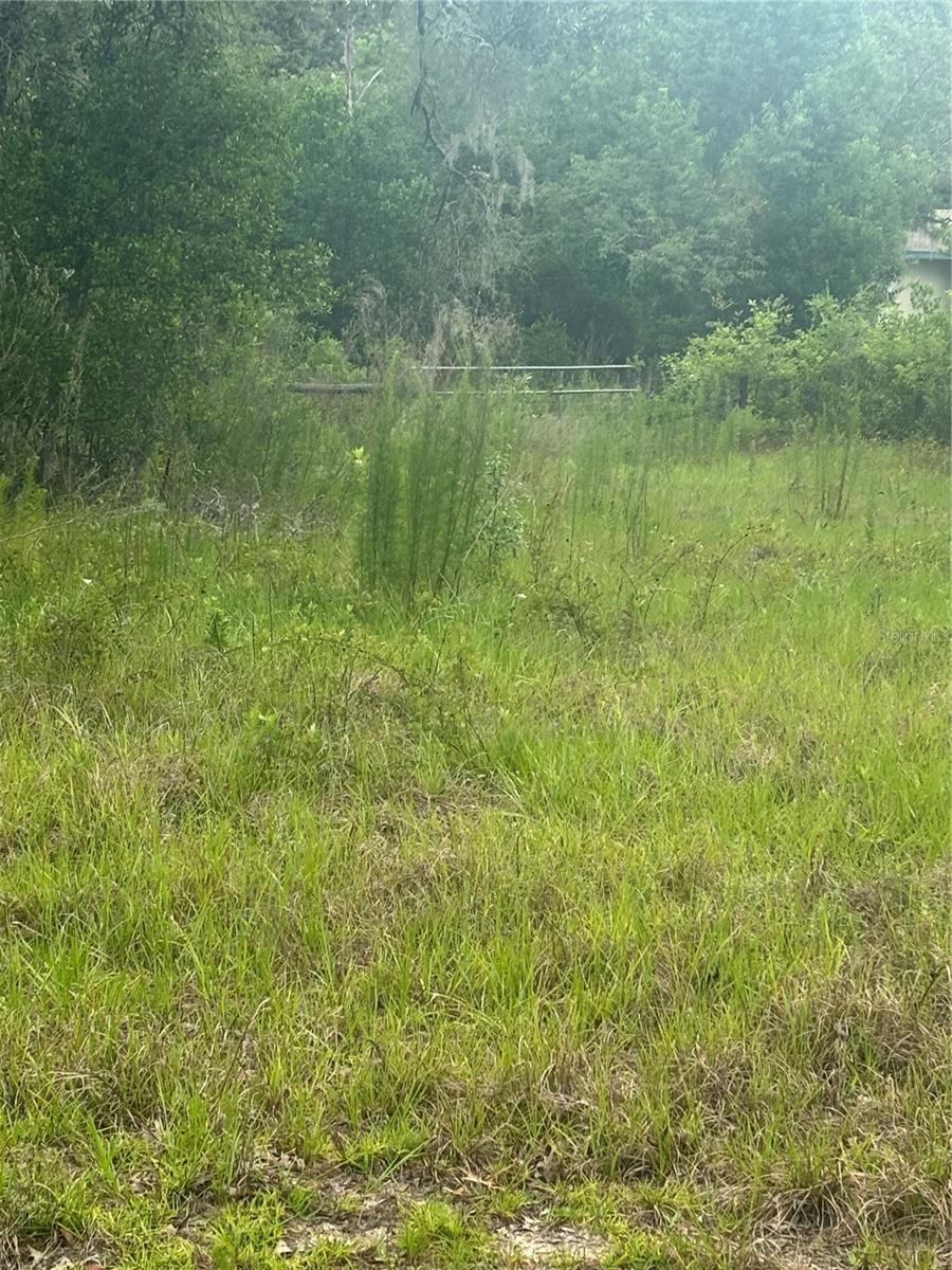 18890 SW 44TH ST, DUNNELLON, FL, 34432